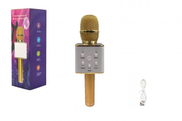Mikrofon karaoke kov 25cm USB zlatý