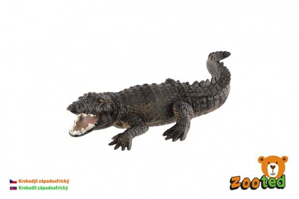 Krokodýl západoafrický zooted 17 cm v sáčku