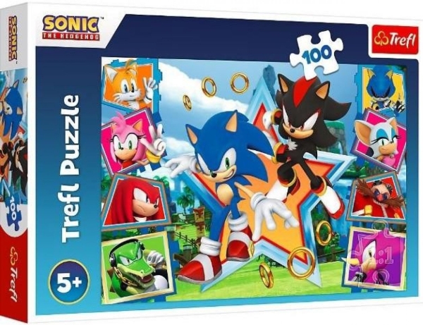 Puzzle Seznamte se se Sonicem 100 dílků Trefl